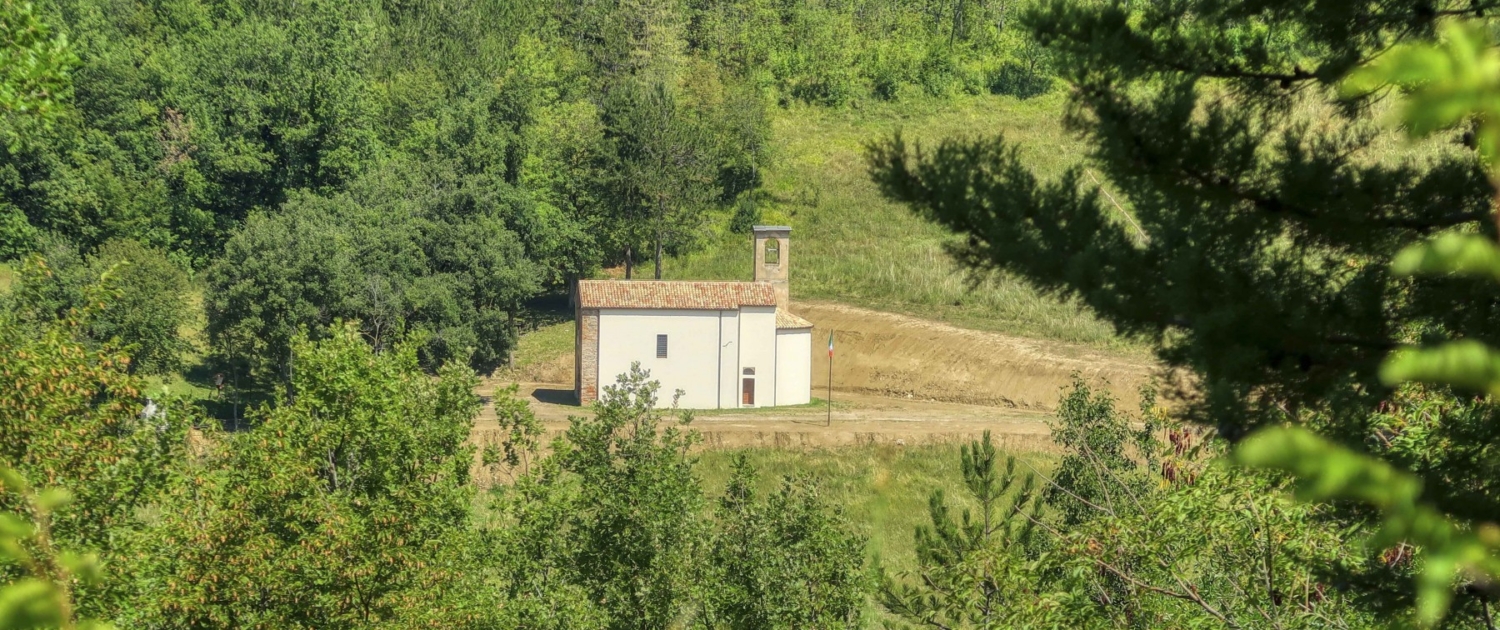Abbazia di Montalto1