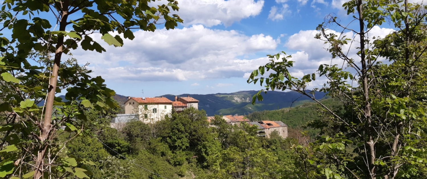 Castel d'Alfero 1