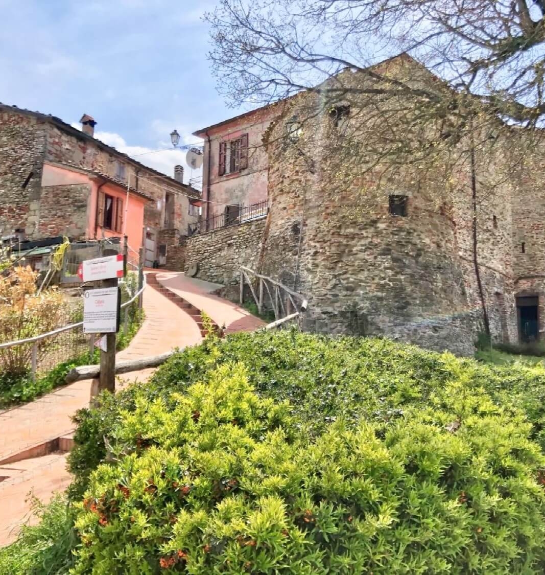 Tour delle Fattorie e delle Orchidee