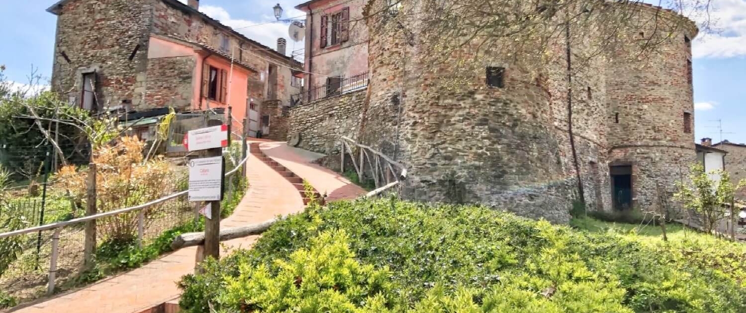 Tour delle Fattorie e delle Orchidee