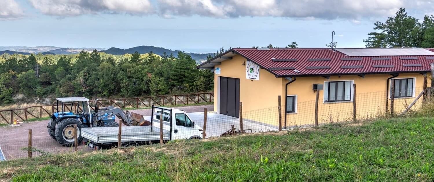 Fattoria il Trifoglio (1)